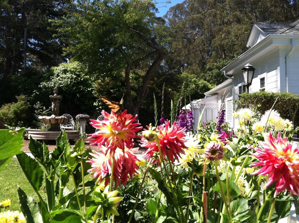 Monarch Cove Inn Capitola Eksteriør billede